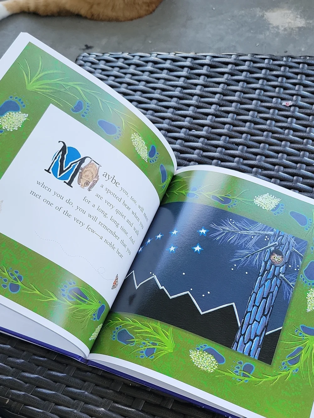 🌺3 For $10 Spotted Bear A Rocky Mountain Folktale - Blue Cover